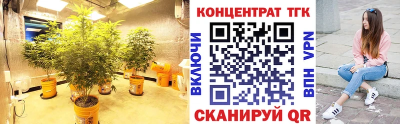 ТГК жижа  где купить   OMG как зайти  Строитель 