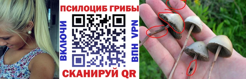 Псилоцибиновые грибы Magic Shrooms  Строитель 